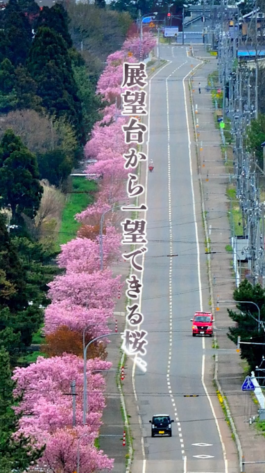 どうなん海道サイクルルート　紹介動画 （自治体紹介動画：知内町）のサムネイル画像