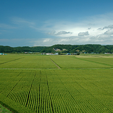 今金町の写真