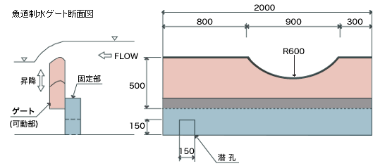 魚道制水ゲート断面図