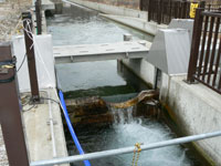 魚道制水ゲートの写真