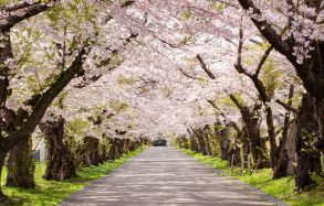 松前藩戸切地陣屋跡