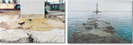 1993年（平成5年）北海道南西沖地震により、ふ頭用地の液状化や防砂堤の沈下などの被害が出る
