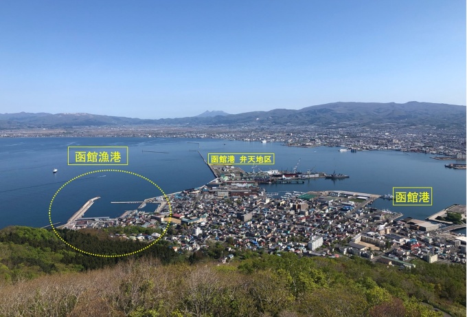 現在の函館港・函館漁港の全景画像