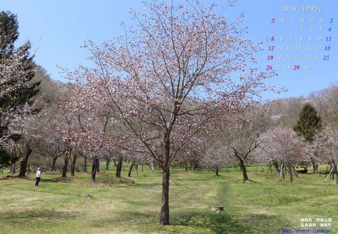 4月　釧路町　別保公園