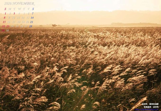 11月　浜中町　霧多布湿原