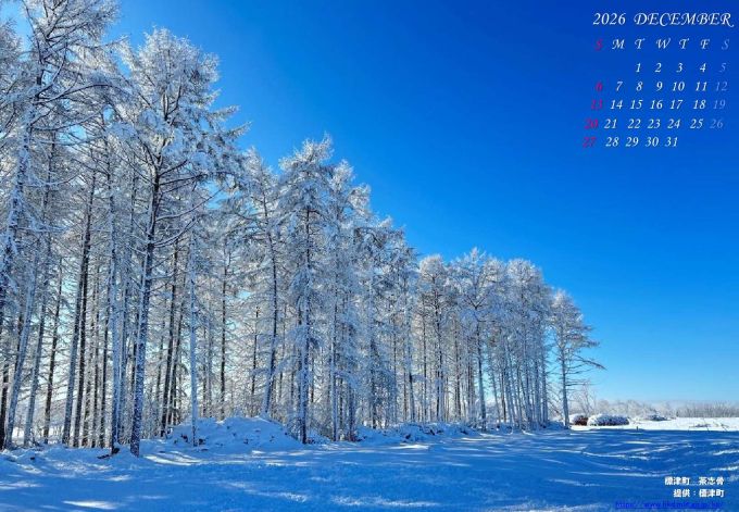 12月　標津町　茶志骨