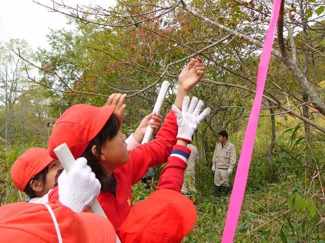 皆さん一生懸命ですね