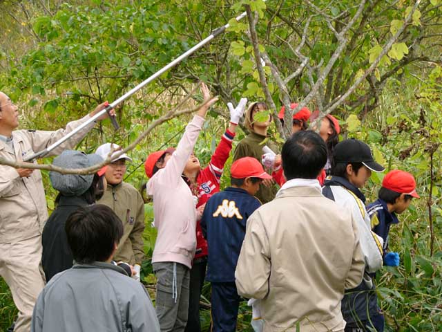 タネはとれたかな？
