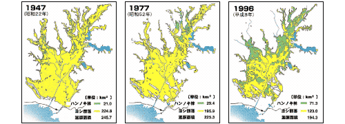 ハンノキ林分布変遷図