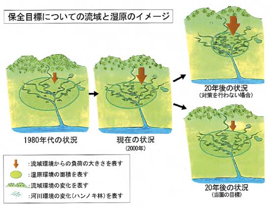 湿原イメージ