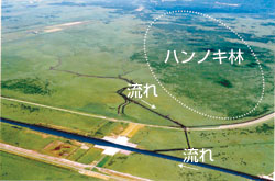 施策イメージ図（雪裡樋門地区）