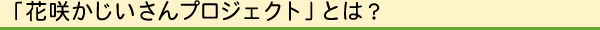 hana_spring_02
