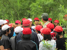 hana_spring_09