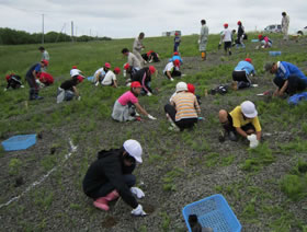 hana_spring_10