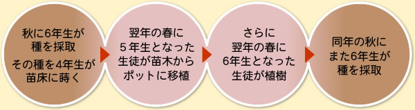 hana_spring_03