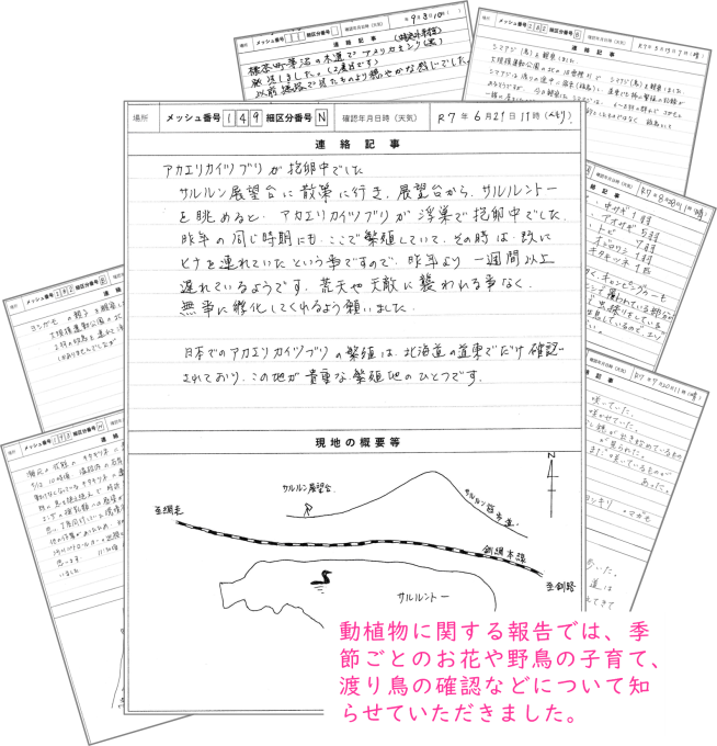 釧路湿原川レンジャー報告用紙