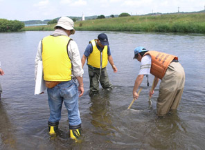 釧路川の水生生物調査・水質調査