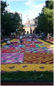SAPP‿RO Flower Carpet 2014