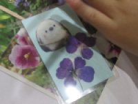 おし花03