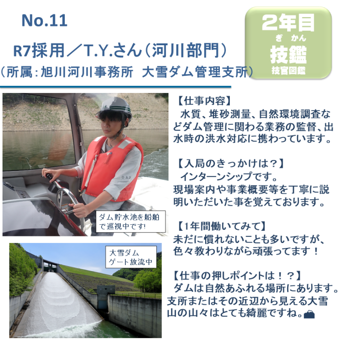 No.11