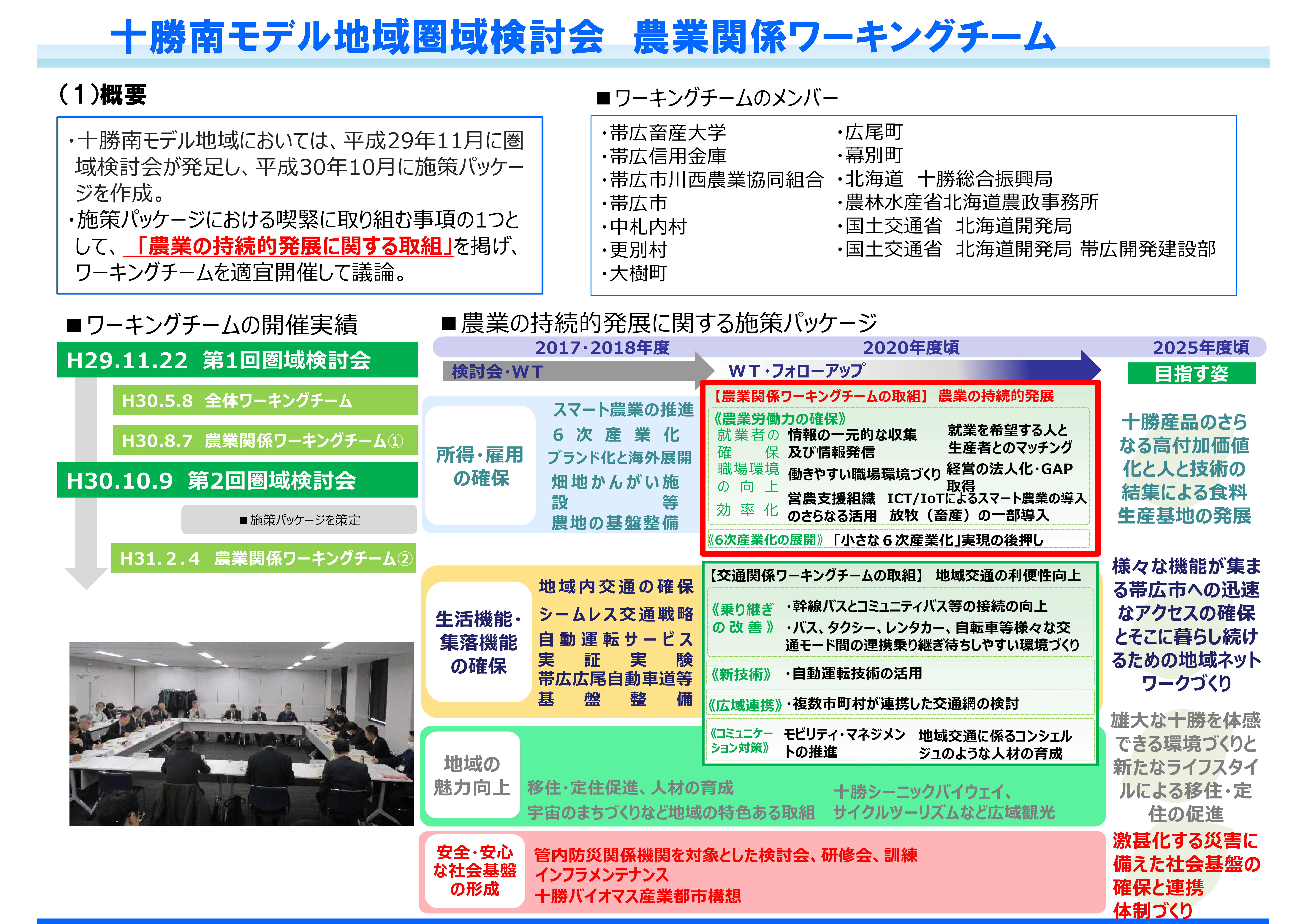 十勝南モデル地域圏域検討会　観光ワーキングチーム(1)概要