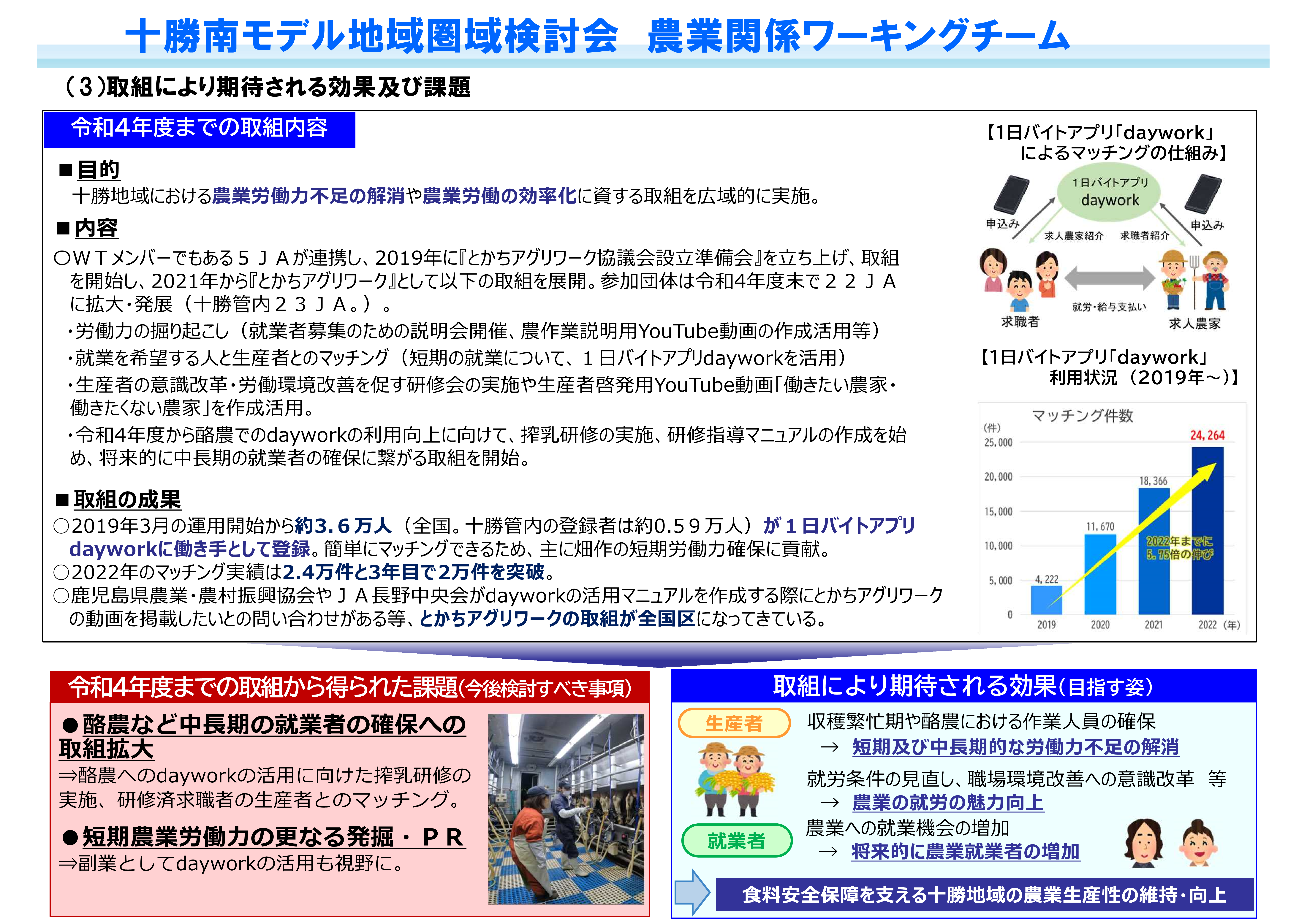 (3)取組により期待される効果及び課題