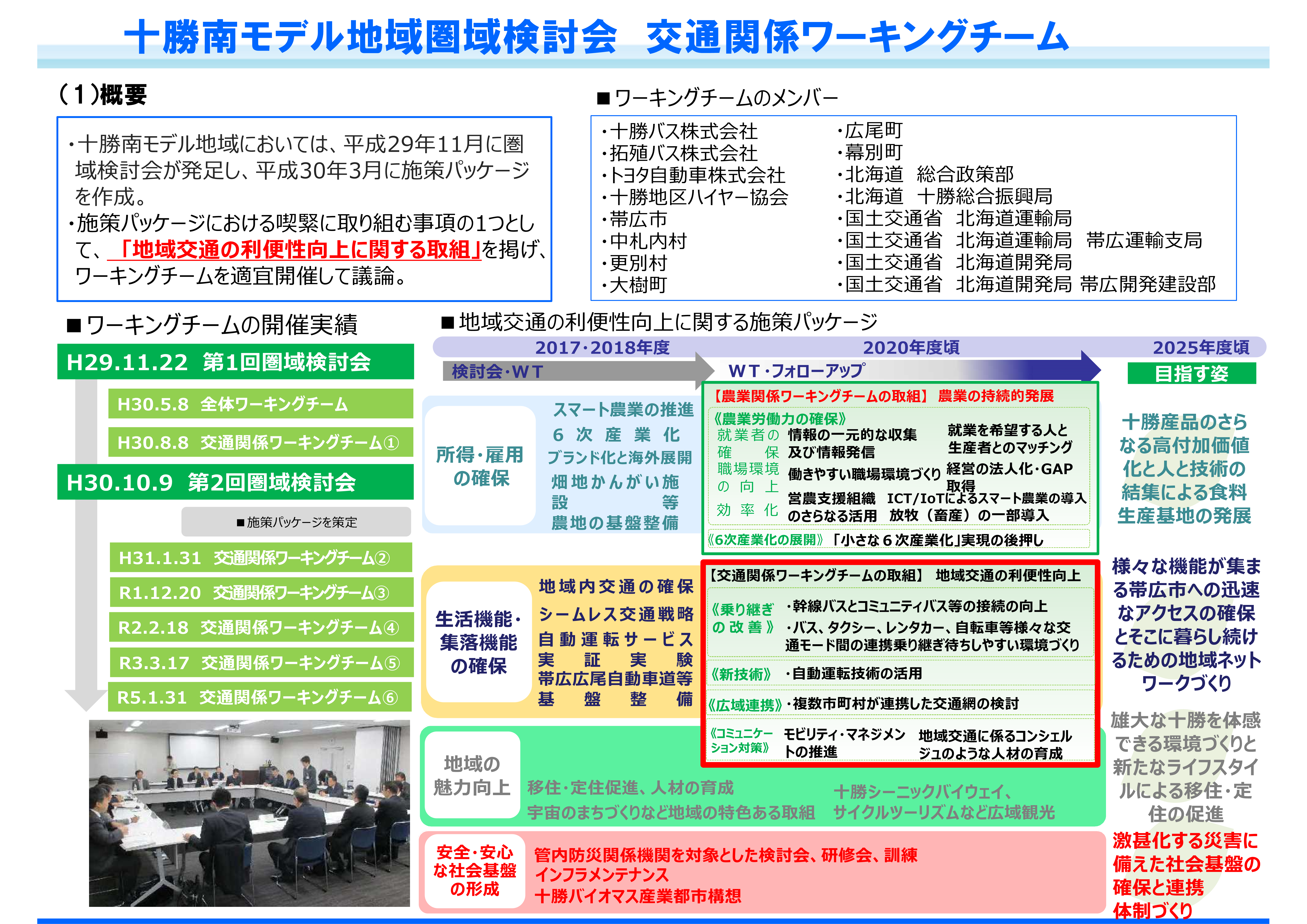 十勝南モデル地域圏域検討会　交通関係ワーキングチームの取組状況(1)概要