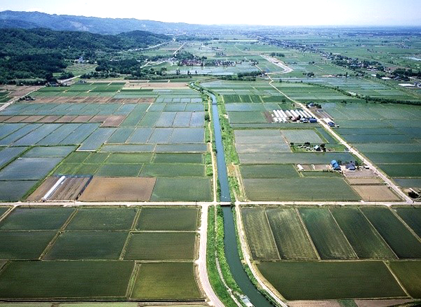 北海幹線用水路の写真