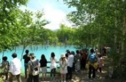 観光スポットとして有名な「青い池」
