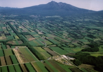 道東の畑作地帯