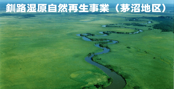 釧路湿原自然再生事業