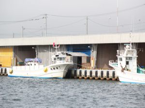 屋根付き岸壁に係留する漁船
