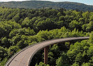 森を抜ける公園のような道	