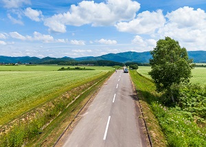 日本一のそば畑を走る道