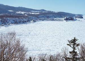 一面の流氷が織りなすグレートネイチャーを体験する道