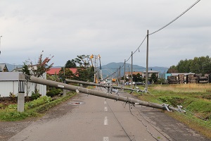 突風・飛来物による電柱の倒壊