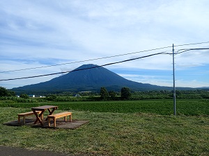 羊蹄山の眺望　整備前