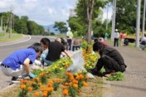 八幡VPP周辺植樹桝の花壇の維持管理