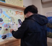 チラシの利用状況