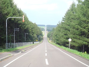 釧路湿原・阿寒・摩周シーニックバイウェイ