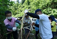 樹皮をはぐ様子