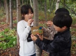 児童館の子供達が制作した樹木板