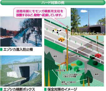 道路両側にモモンガ横断用支柱を設置するなど、動物へ配慮しています。