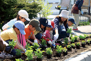 国道453号「芸術の森フラワーロードに花を咲かせる会」（札幌市）