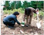 「シーニックの森づくり」における植樹活動