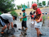 亀田川にいきものをさがそう