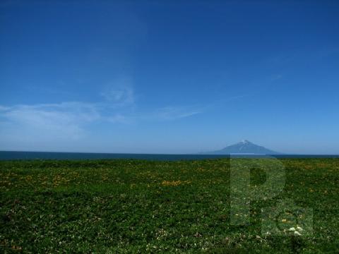 遠別町金浦