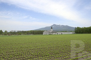 レストハウスきよさと駐車場・焼酎工場とじゃがいも畑（清里町）