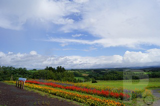 上富良野町トリックアート美術館駐車場（上富良野町）