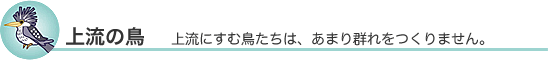 上流のとり